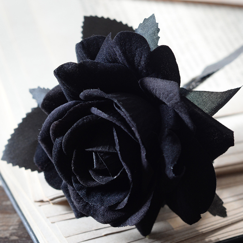 Aisha rose all black