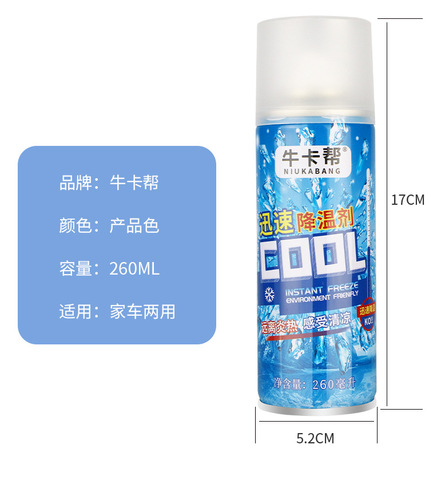 Automotive Rapid Cooling Agent, Car Interior Quick Cooling Spray, Summer Handheld Refrigerant Dry Ice Spray, Eco-Friendly Model