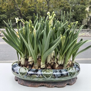 ��ɏһ�~ɏ�ɻ��~�X��ˮ�໨��ˮ�����մ����܄���o�״�ڏ�ˮ��