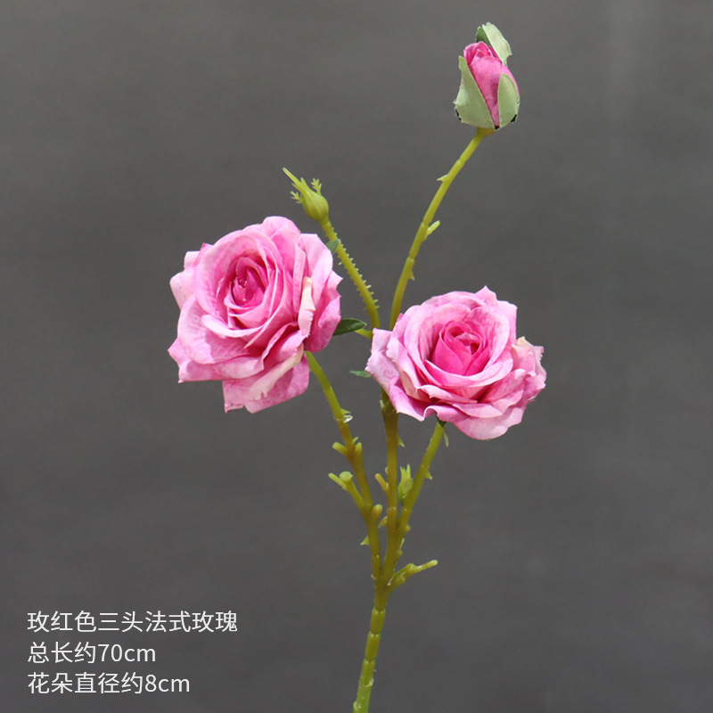 Rosa francesa de tres cabezas roja rosa