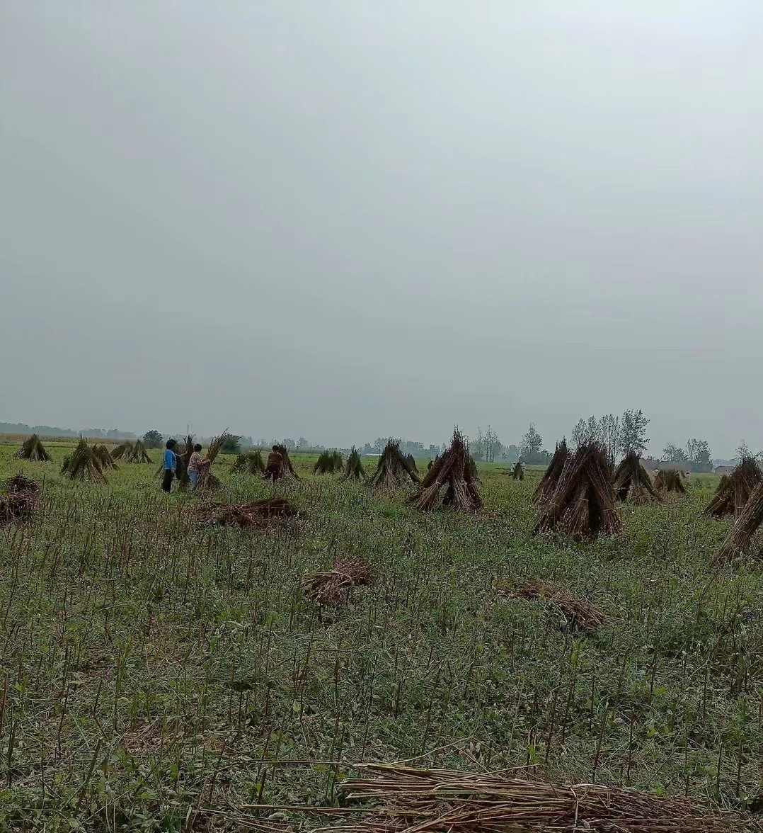 微信图片_20220717180835