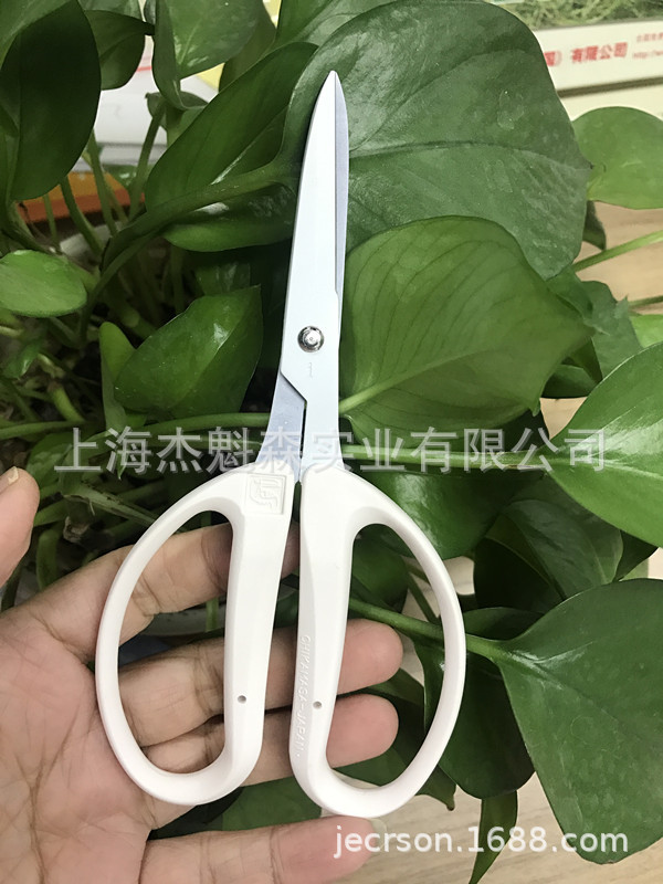 近正大嘴鸟修枝剪米白色CRI-360SFW盆栽粗枝剪花艺剪刀园林修枝剪