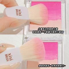 XIXI Mini Portable Brush Set (6 Pieces) Soft Bristles Portable Makeup Brush Case Beauty Tool for Beginners