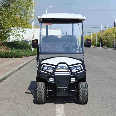 Zhongfeiyida Electric Golf Cart Elektrikli qolf avtomobilləri