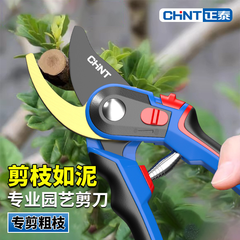 正泰强力果树修剪粗枝剪刀园林园艺修花剪家用剪花高硬度剪枝修剪
