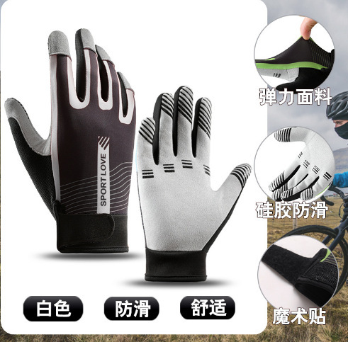 Frisbee, gloves