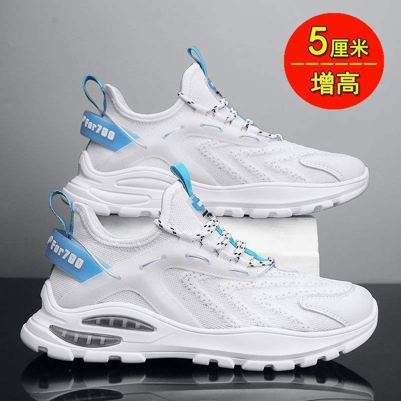 Q-2022 화이트(업그레이드 및 강화된 버전)