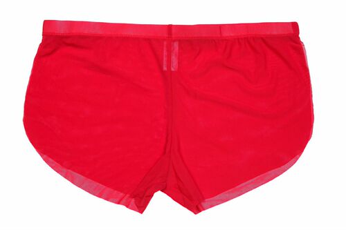 Mesh Arrow pants sexy mesh summer breathable sexy two-piece boxer briefs