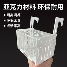 亚克力挂钩吸盘隔离盒繁殖箱孵化器异形黑色白色透明鱼苗三湖乌龟