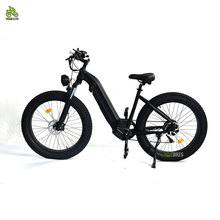 YQEBIKES Cheap Mountain Dirt Electric Bike City ebike 1000W