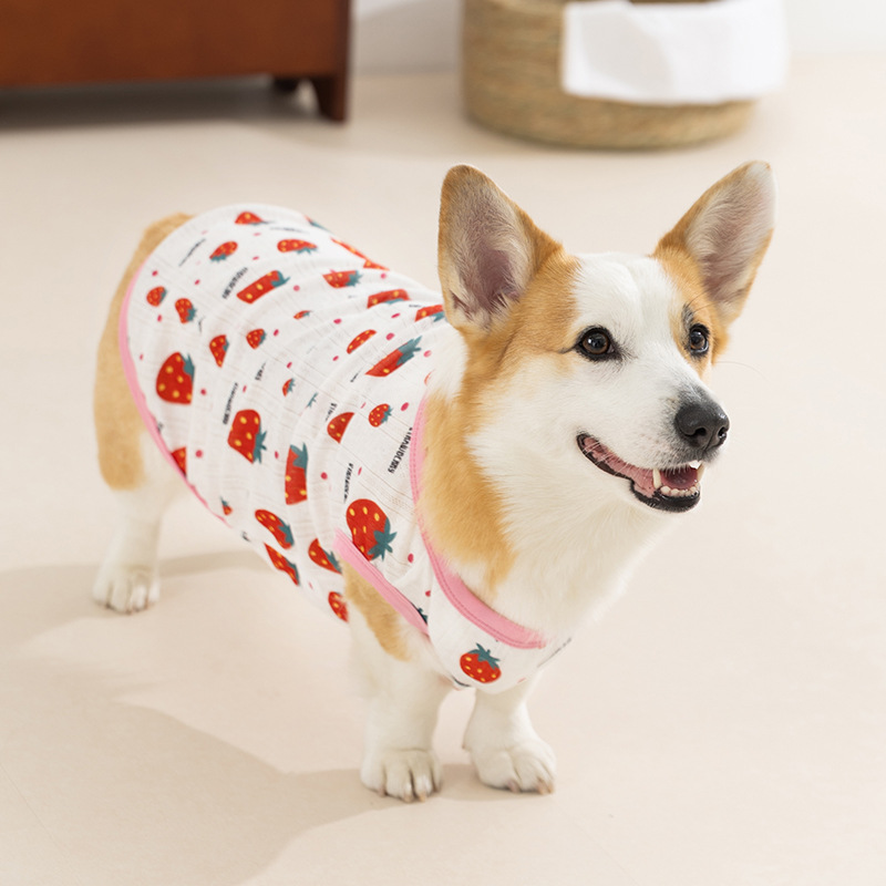Estilo de primavera y verano perro fresa fruta Corgi chaleco pequeño perro salchicha de dos patas ropa delgada para perros