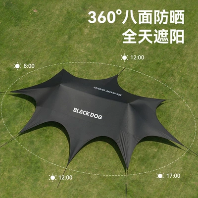 Rainproof Awning, Avtomobil yan çətirləri