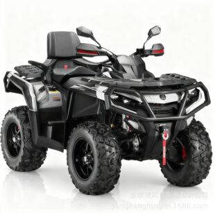 AODES�W��˹650L/650���{��/1000���{�����ɳ��܇ȫ����ɽ��Ħ��