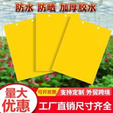 双面粘虫黄板诱虫板柑橘子树瓜果实蝇苍蝇大棚蓟马篮板多规格选