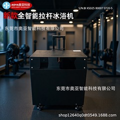 厂家加工生产全自动新智能户外小型家用冰浴机带水泵过滤机器设备