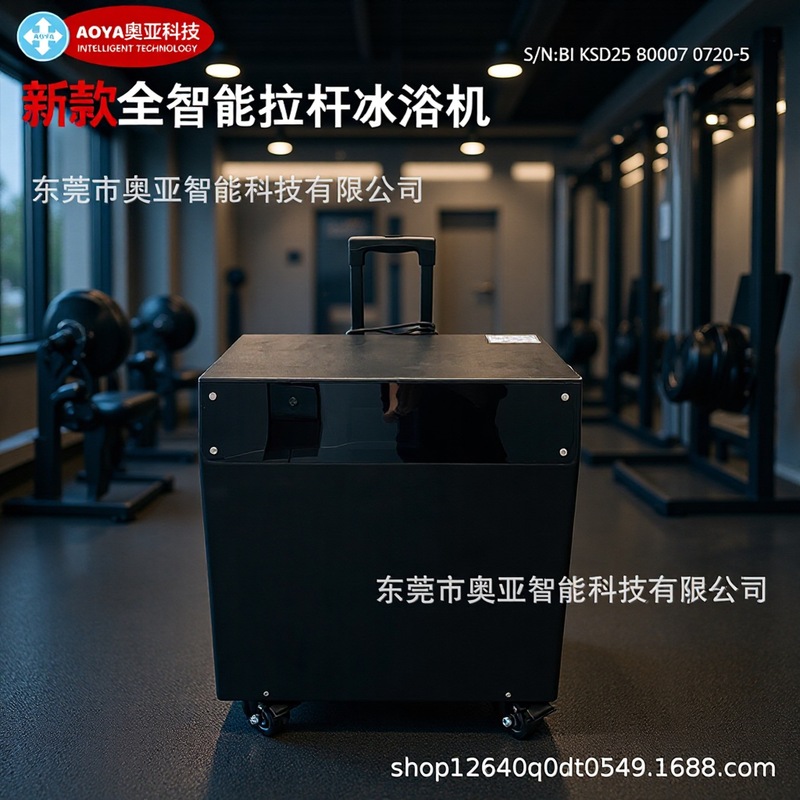 厂家加工生产全自动新智能户外小型家用冰浴机带水泵过滤机器设备|undefined