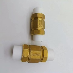 PPR4/6-inch swing check valve brass vertical check valve 20/25PPR dual slip coupling self-water supply pipe faucet control valve