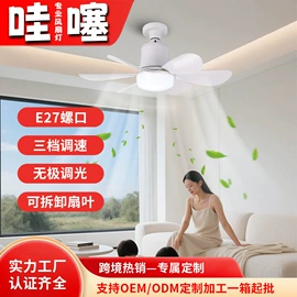 风扇灯;吸顶灯;吊灯