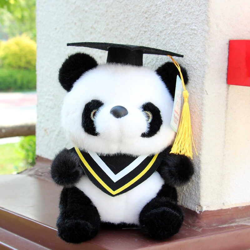 Temporada de graduación Panda Doctor Bear Kindergarten Examen de ingreso a la universidad Regalo Licenciatura Bear Impresión Logotipo Nombre de la insignia de la escuela Muñeca de clase