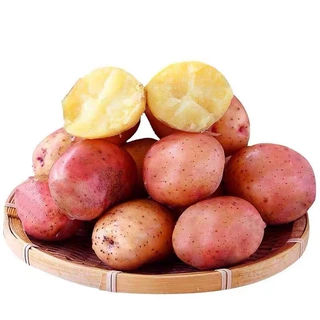红皮土豆当季云南红皮小土豆新鲜现挖3斤/5斤/9斤装土豆一件代发