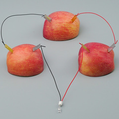 Science Experiment Fruit Power Generation Zinc-Copper Sheets Science Project Small Invention Physics Experiment Materials Toys