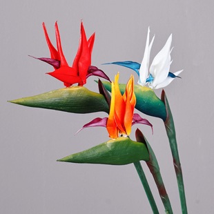 ���������B�Q���m�Gֲ��Ʒ�|�廨��ˇ�bҾӻ�Y���ķ��滨�ٻ�