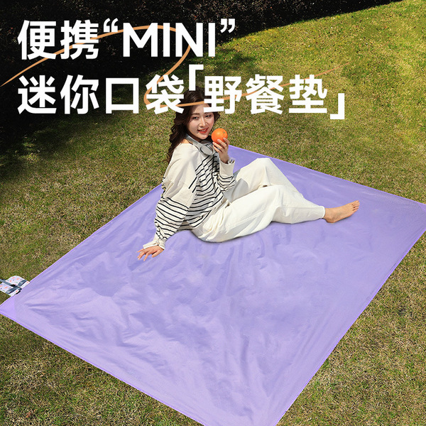 Handheld light and thin beach carpet for traveling for camping