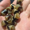 Two -eye tiger teeth pattern agate bead bucket beads yellow to pure high oil handmade bead collection AQX10