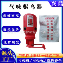 ��ζ��B�������·��B�����������F�����Bș�����L����ζ�s�B��