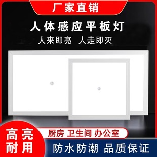 24g Presence Sensor Flat Panel Light with Sound and Light Control, Human Body Sensing, High-End Office Building, Office Building Property, Aisle Corridor