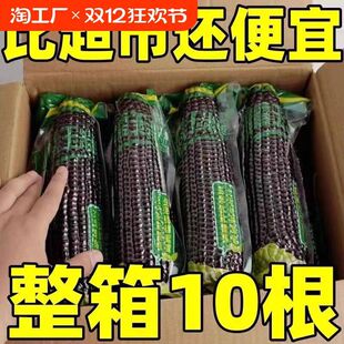 ���������rŴ���ז|�����ͼ�ʳ�����������հ��b�����Ŵ����