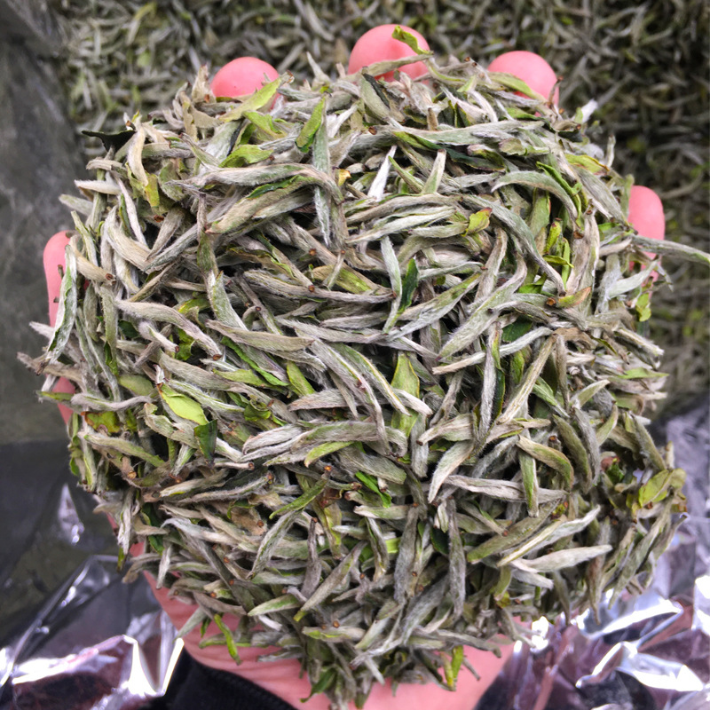 2024年春茶白毫银针500g 高山日晒白茶银针散茶批发毫香蜜韵