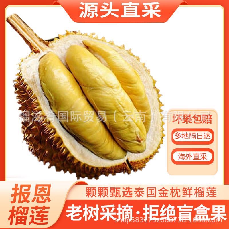 甄选泰国进口金枕榴莲新鲜一整个带壳整果非猫山王坏果包赔批发价