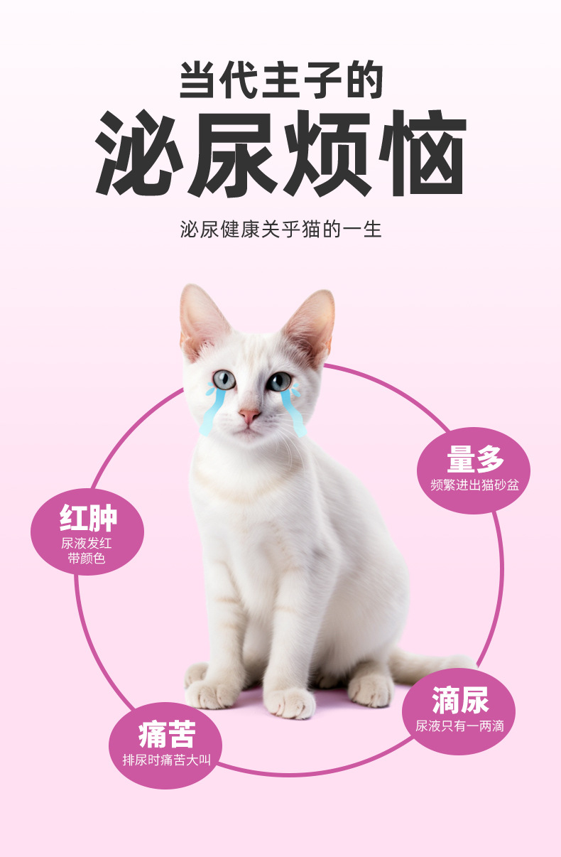 28蛋白成猫粮_02.jpg