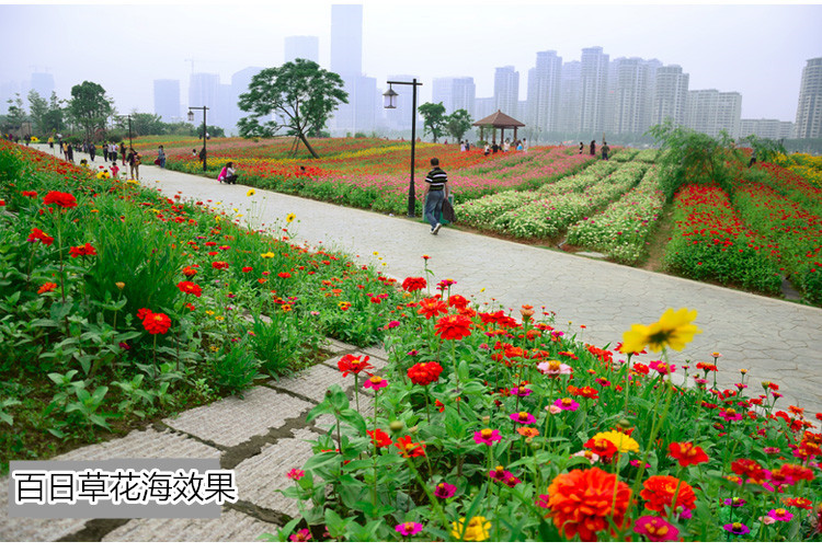 69c1a6113f4a086219e9812739e42d