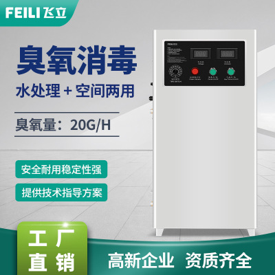 飛立臭氧發生器養殖場飲用水殺非洲豬瘟 純淨水滅菌水處理臭氧機