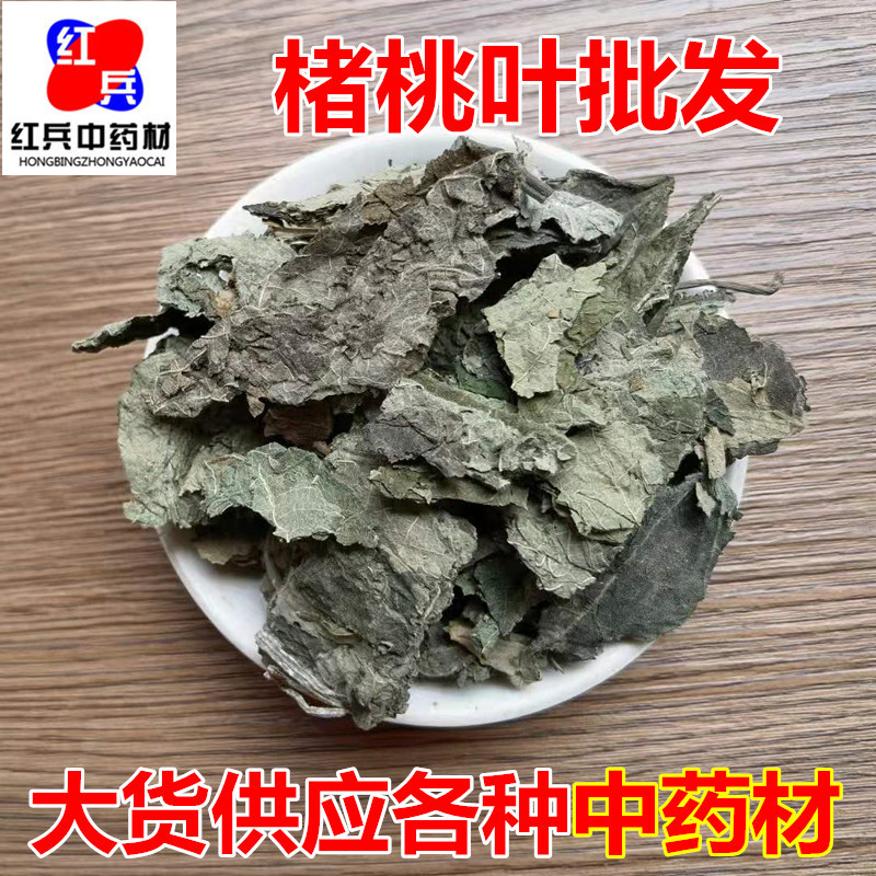 Dried Paper Mulberry Leaves Chu Tao Ye Bulk Herbal Tea Leaves Traditional TCM Botanical overview