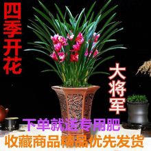 �m������Ý������m�������҃ȾGֲ����ȩ�����ļ��_��