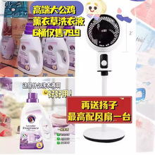 大公鸡深层有效清洁衣物6瓶薰衣草洗衣液送金杨子循环扇一台