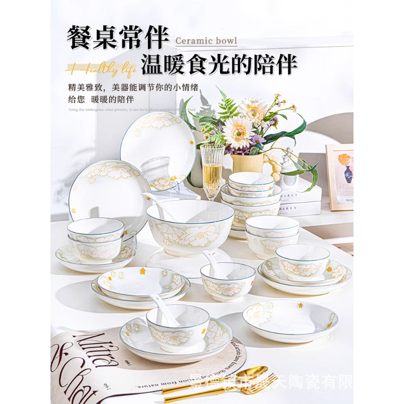 Underglaze Color Bowl and Dish Set for Home Use 2025 New Bowl Set Ceramic Bowls and Plates Chopsticks High-Value Tableware Set Housewarming
