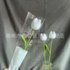 Tulip white