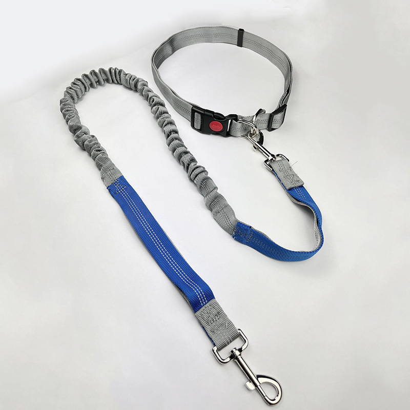 사파이어 블루가 가미된 ​​그레이