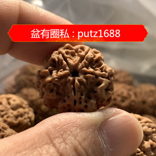 �������������P�������ӽ�����������M��M��Փ�������������