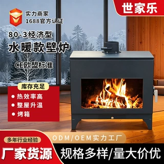 工厂直销欧式简约壁炉家用商用客厅民宿装饰网红柴火炉多功能壁炉