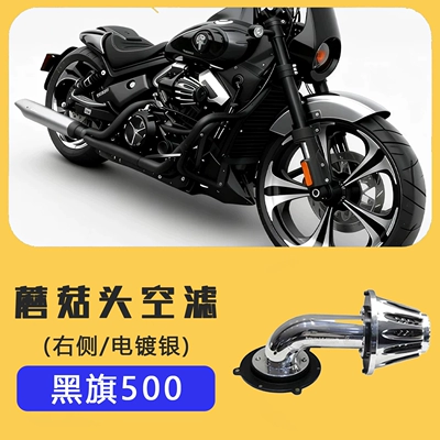 Widened Fuel Tank Protection Side Cover, Brake caliper cover - black-flag-500-mushroom-head-air-filter-electroplated-silver-on-the-right-side