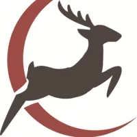 Кольцо Кольцо Браслет Браслет Цепка Серьги Цепь Цепь Цепь Зажим для волос Брошь Браслет для мужчин и женщин