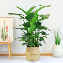 �����B����ֲ������҃Ȼ����Q���m�͏d�k���ҾGֲ���W�W�t����ȩ