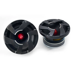 Avtomobil Səs Dinamiki Japan Ts-M650Pro 6.5 düym Mid-Woofer Subwoofer İkili Səs Bobini