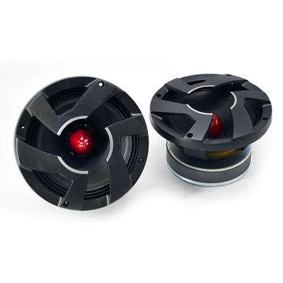 Car Audio Speaker Japan Ts-M650Pro 6.5inch Mid-Woofer Subwoofer Dual Voice Coil Speaker