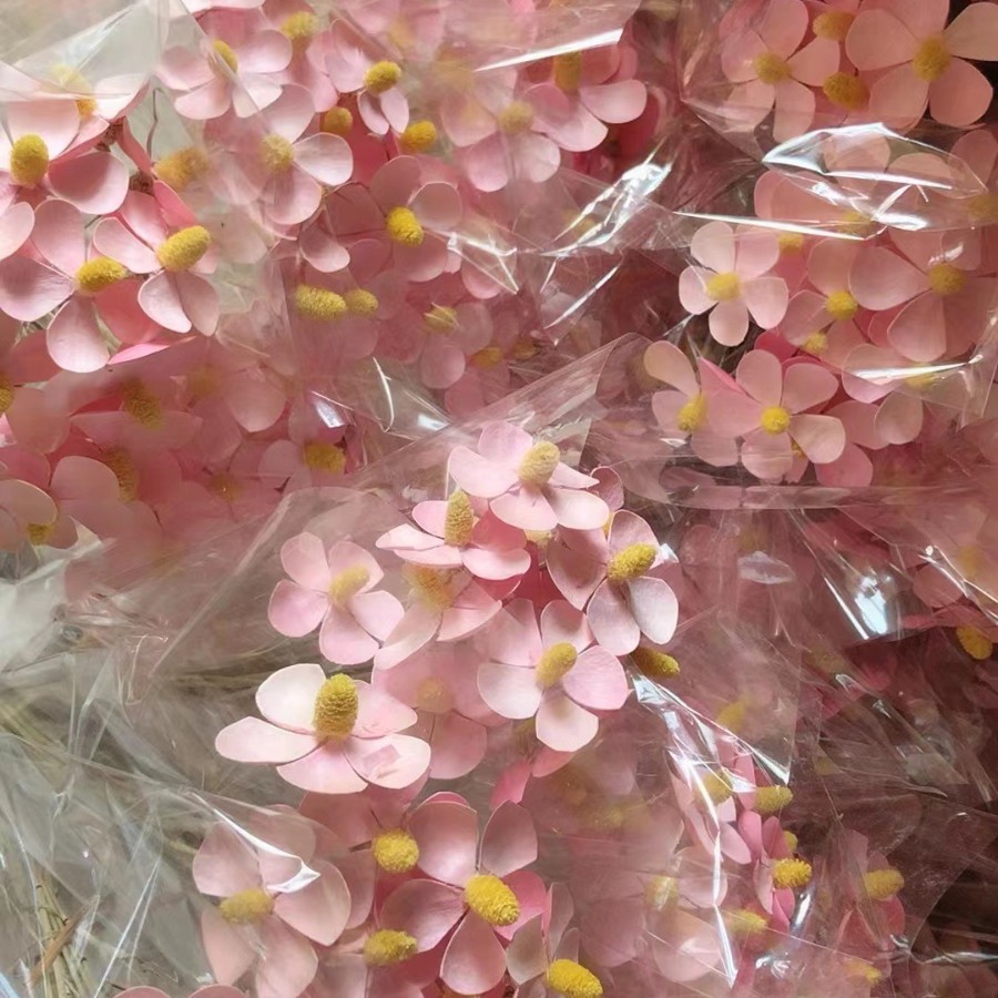 핑크 12 스틱/번들